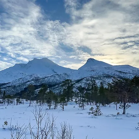 2 Bedroom Stunning In * Narvik